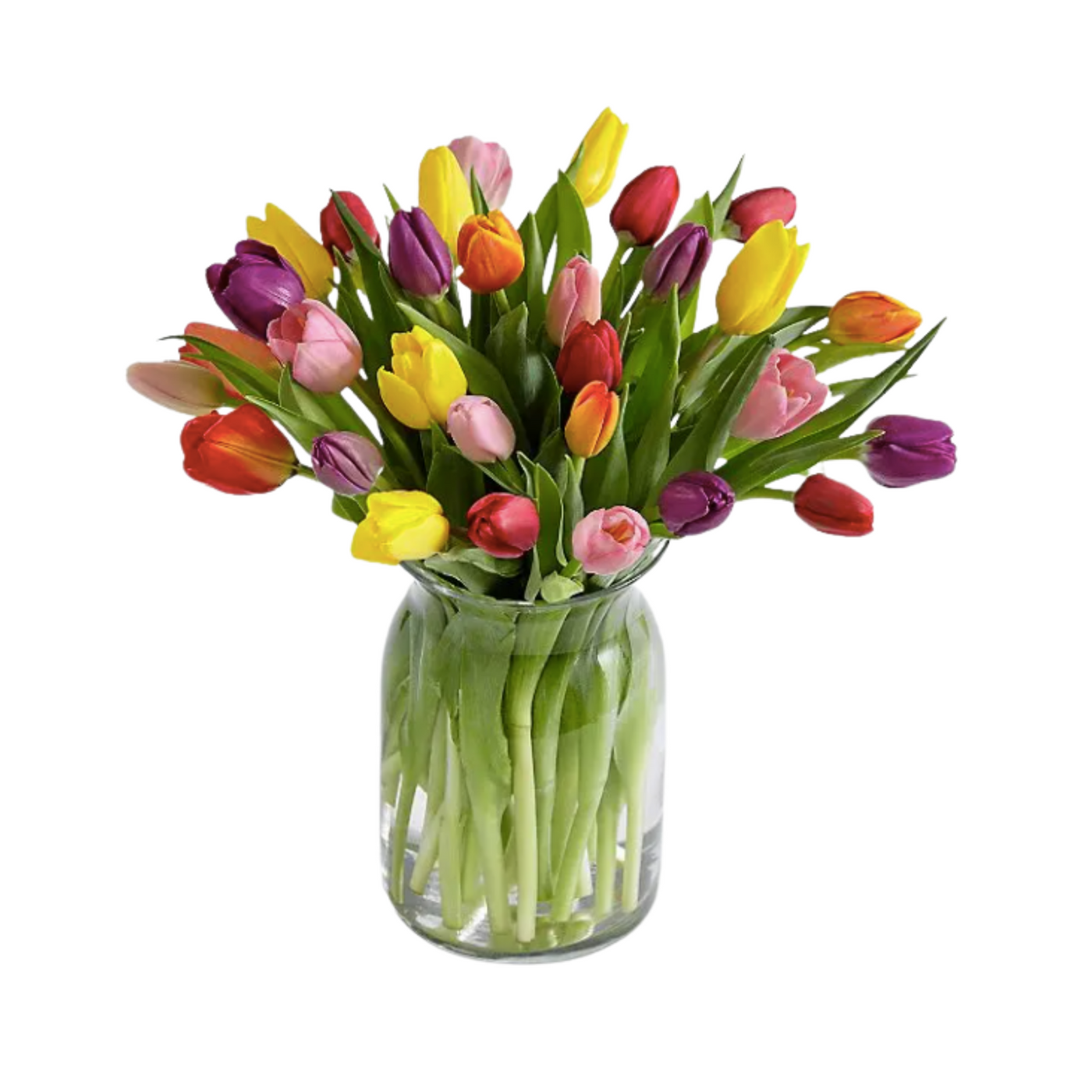 Spring Mix Tulips