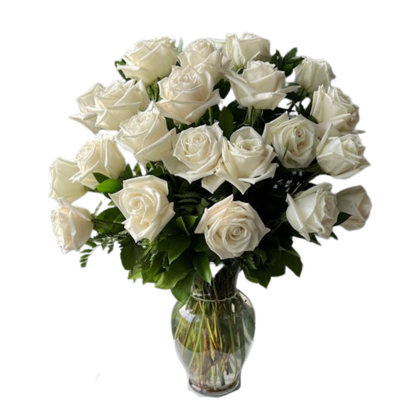 2 Dozen Classic Ivory White Roses
