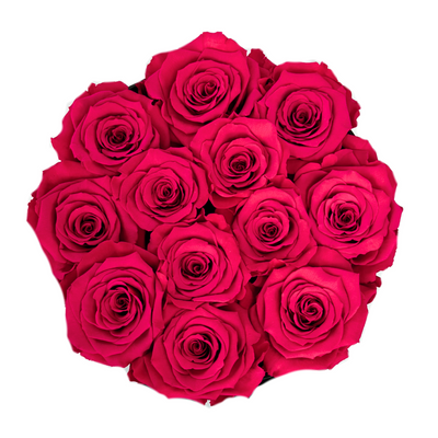 Signature Hot Pink Preserved Roses Gift Box