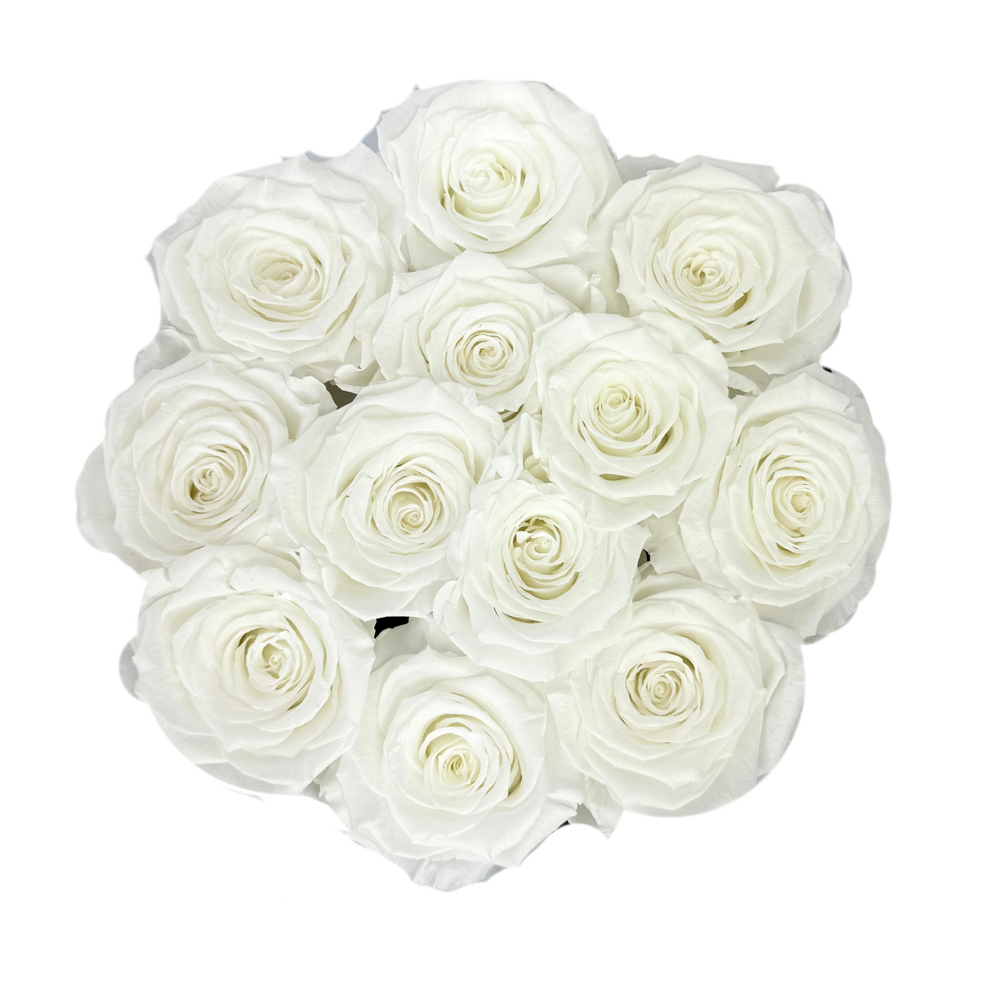 Signature White Preserved Roses Gift Box