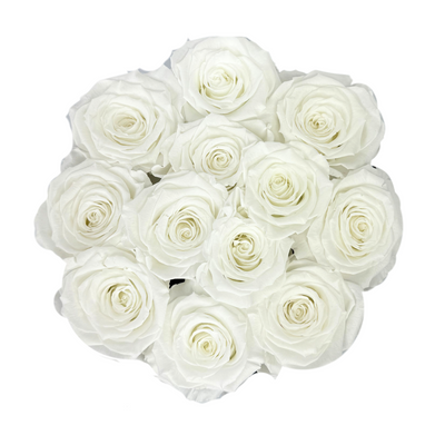 Signature White Preserved Roses Gift Box