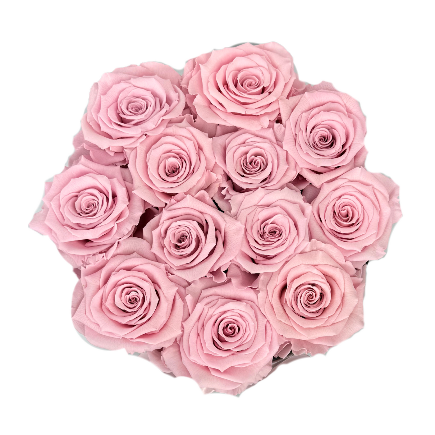 Signature Pink Preserved Roses Gift Box