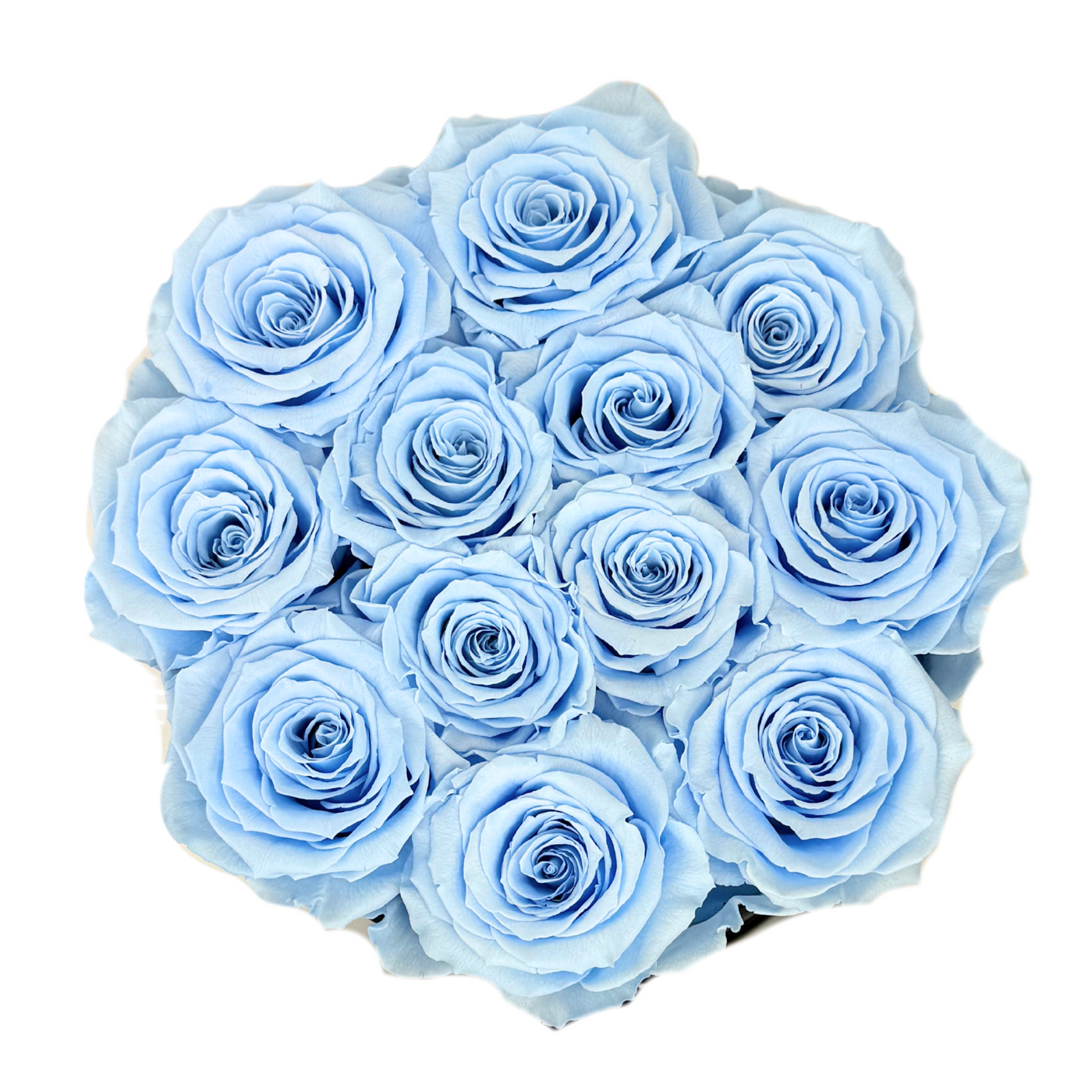 Signature Light Blue Preserved Roses Gift Box