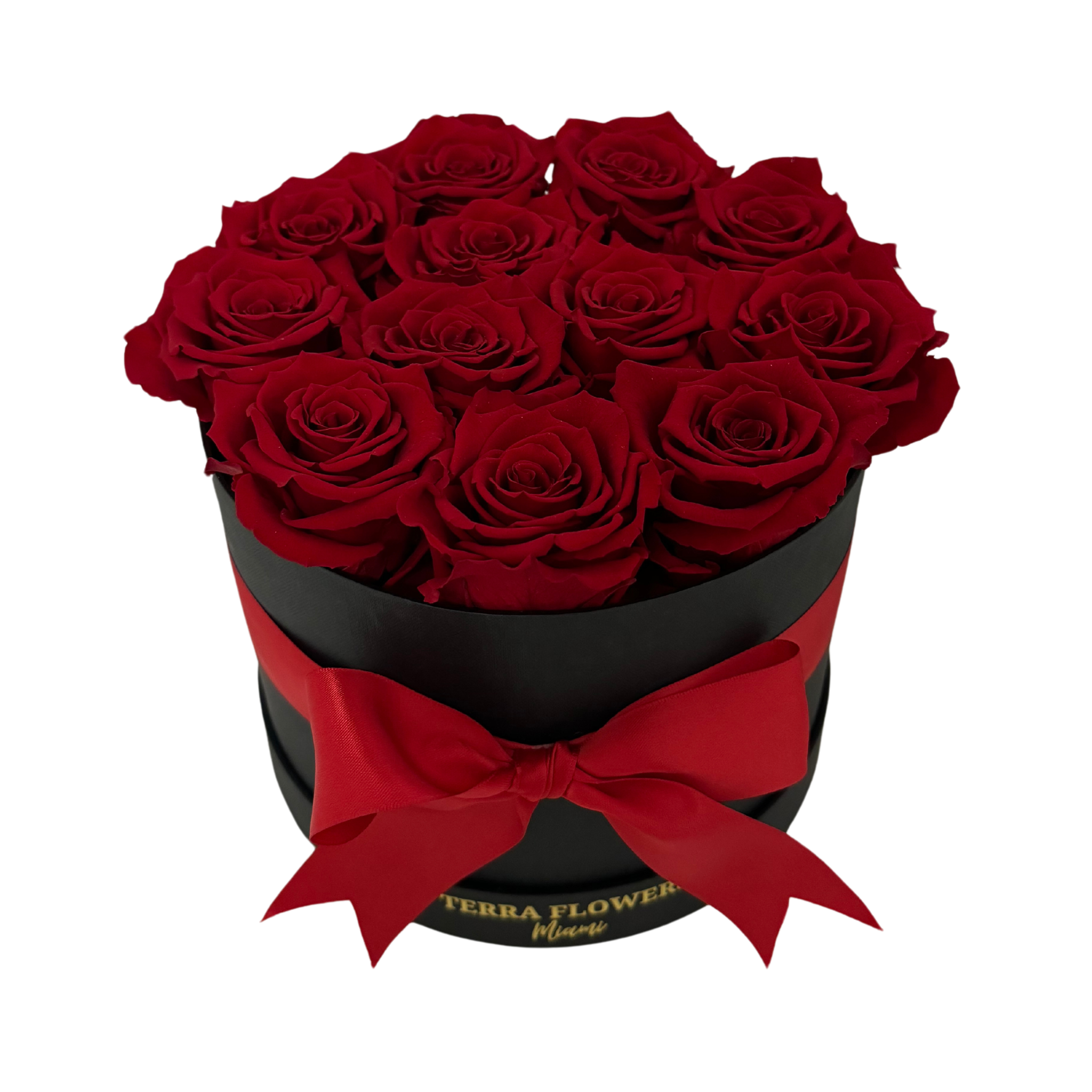 Signature Red Preserved Roses Gift Box – Terra Flowers Miami