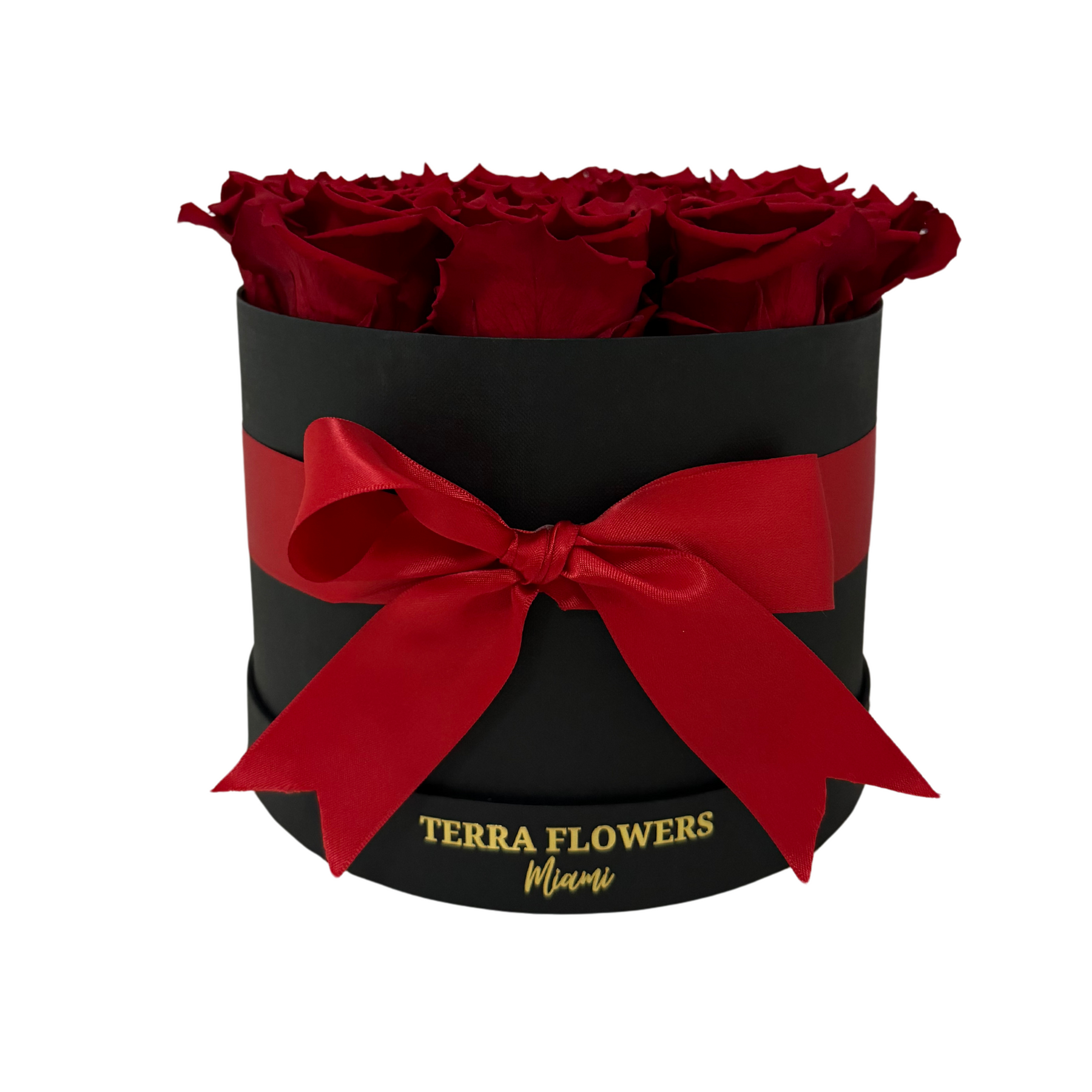 Red Preserved Roses Box Signature Red Preserved Roses Gift Box – Terra Flowers Miami