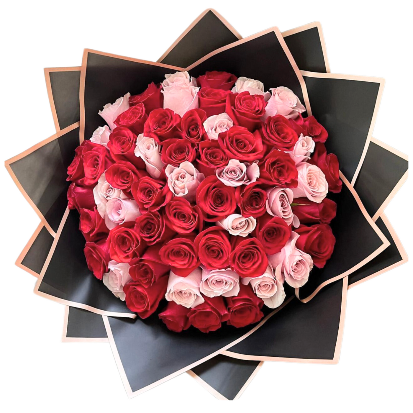 50 Roses Pink Pink and White Rose Bouquet 50 Roses – Terra Flowers Miami