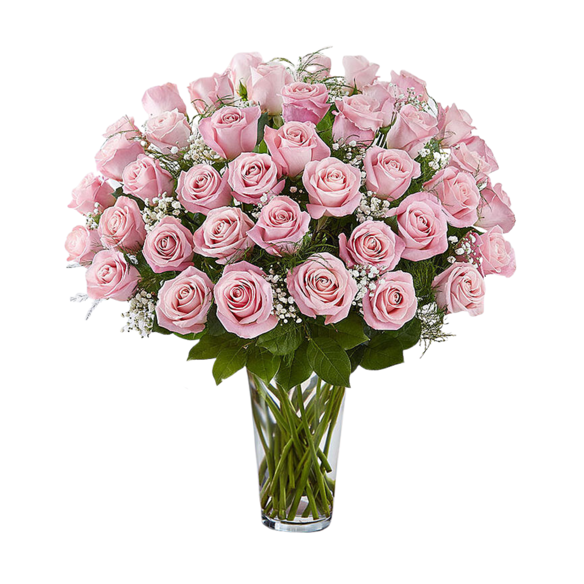 50 Pink Roses in Clear Vase – Terra Flowers Miami