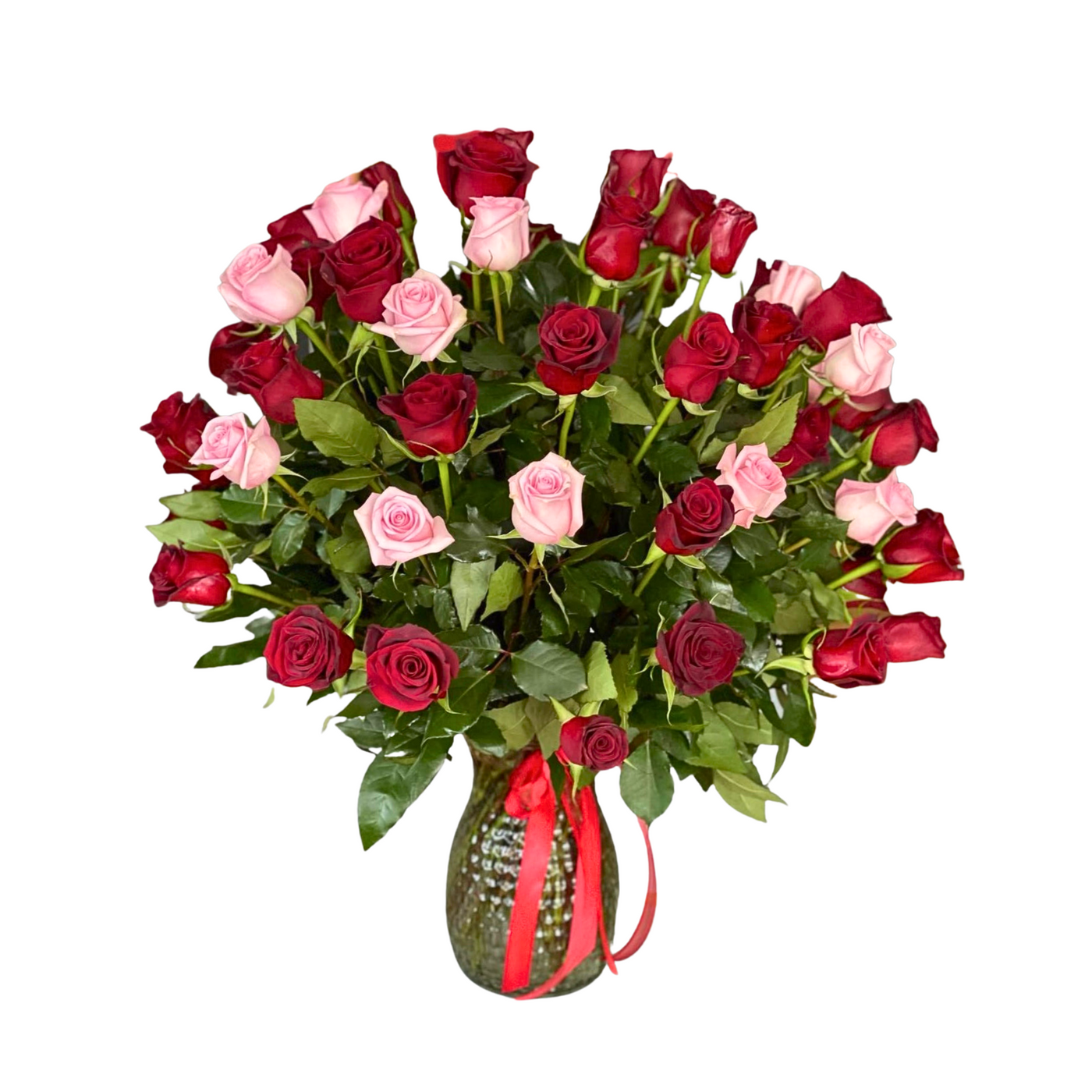 50 Pink & Red Classic Roses