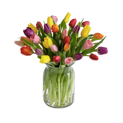 Spring Mix Tulips
