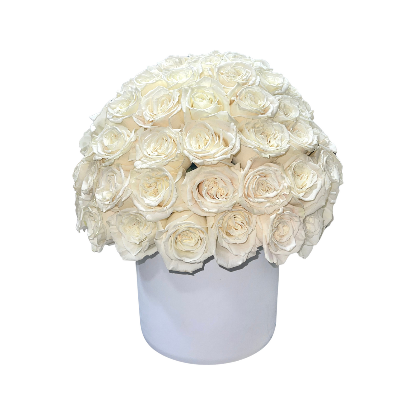 100 Perfect Ivory Roses