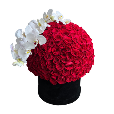 300 Grande Red Roses & Orchids