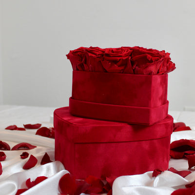 1 Dozen Luxe Love Roses (Preserved)