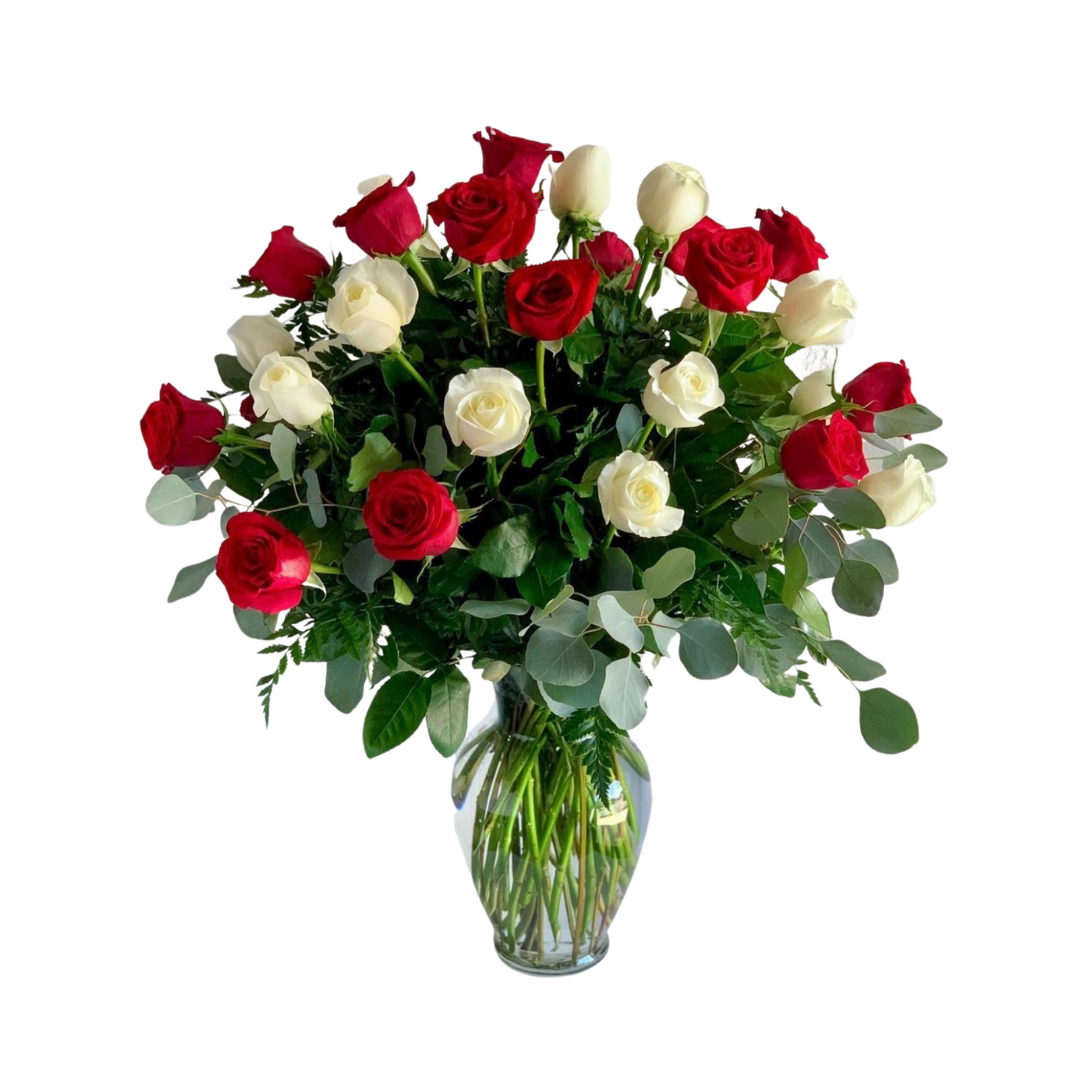 24 Red & White Classic Roses